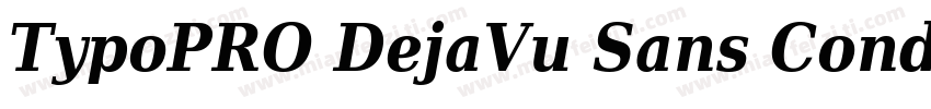 TypoPRO DejaVu Sans Condensed Bold字体转换